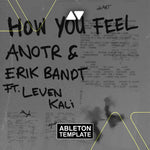 ANOTR, Erik Bandt, Leven Kali - How You Feel Ableton Template (Deep House) Ableton Template