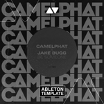 CamelPhat & Jake Bugg - Be someone Ableton Template (Melodic House)