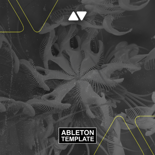 Cassian - Dun Dun Ableton Template (Melodic House)