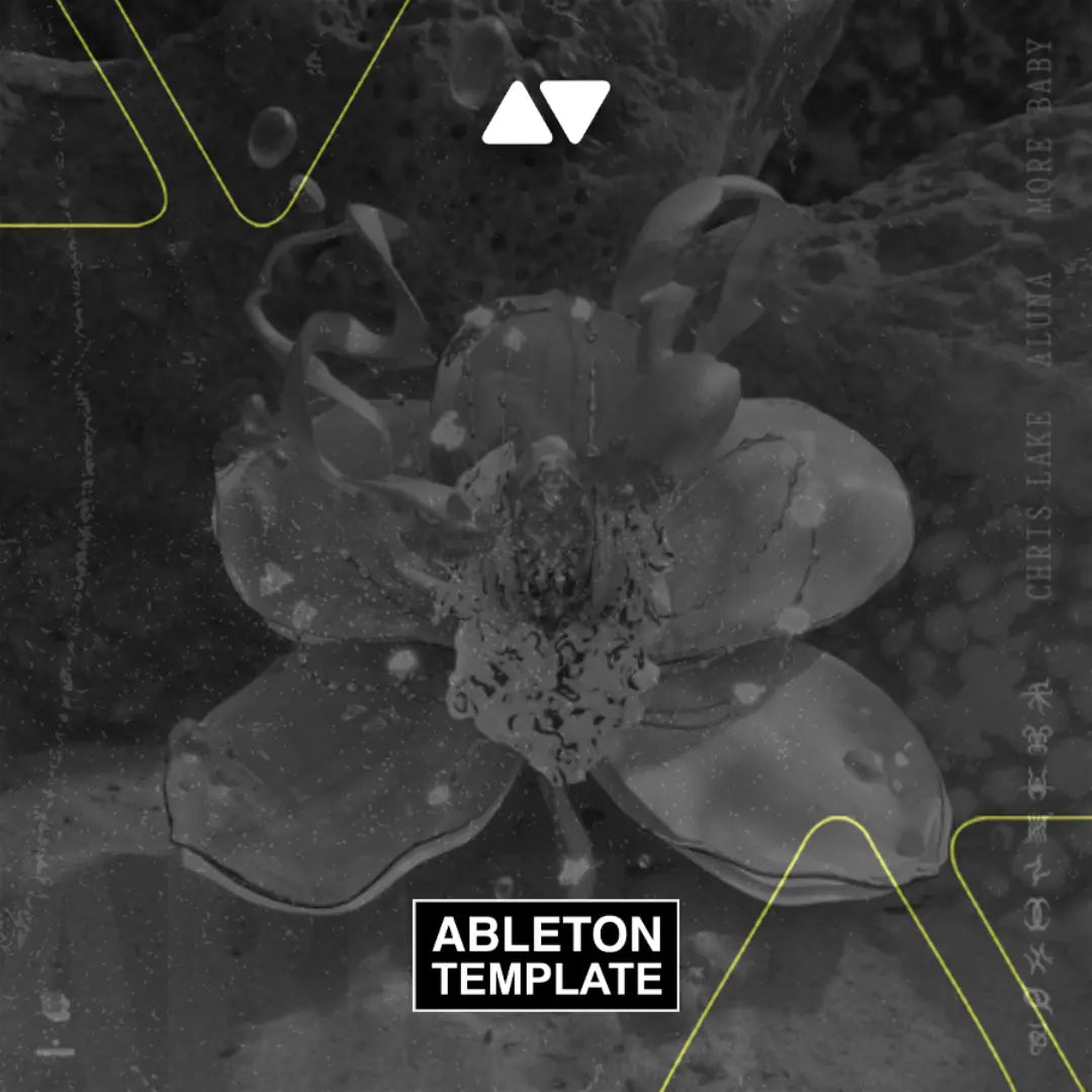 Chris Lake & Aluna - More Baby Ableton Template (Tech House) Ableton Template