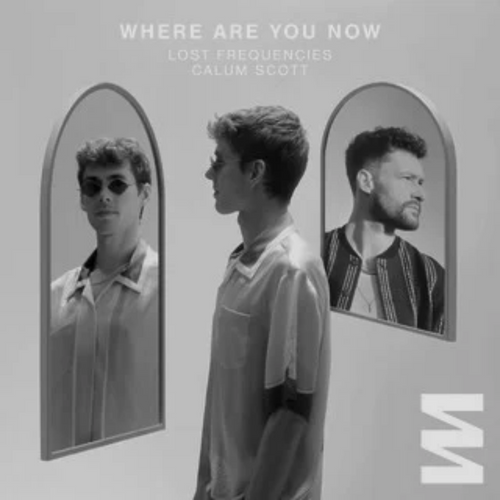 Lost Frequencies ft Calum Scott - Where Are You Now Ableton Template (Deep House)