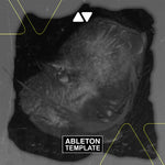 Skrillex, Hamdi, TAICHU & OFFAIAH - Push Ableton Template (Dubstep) Ableton Template