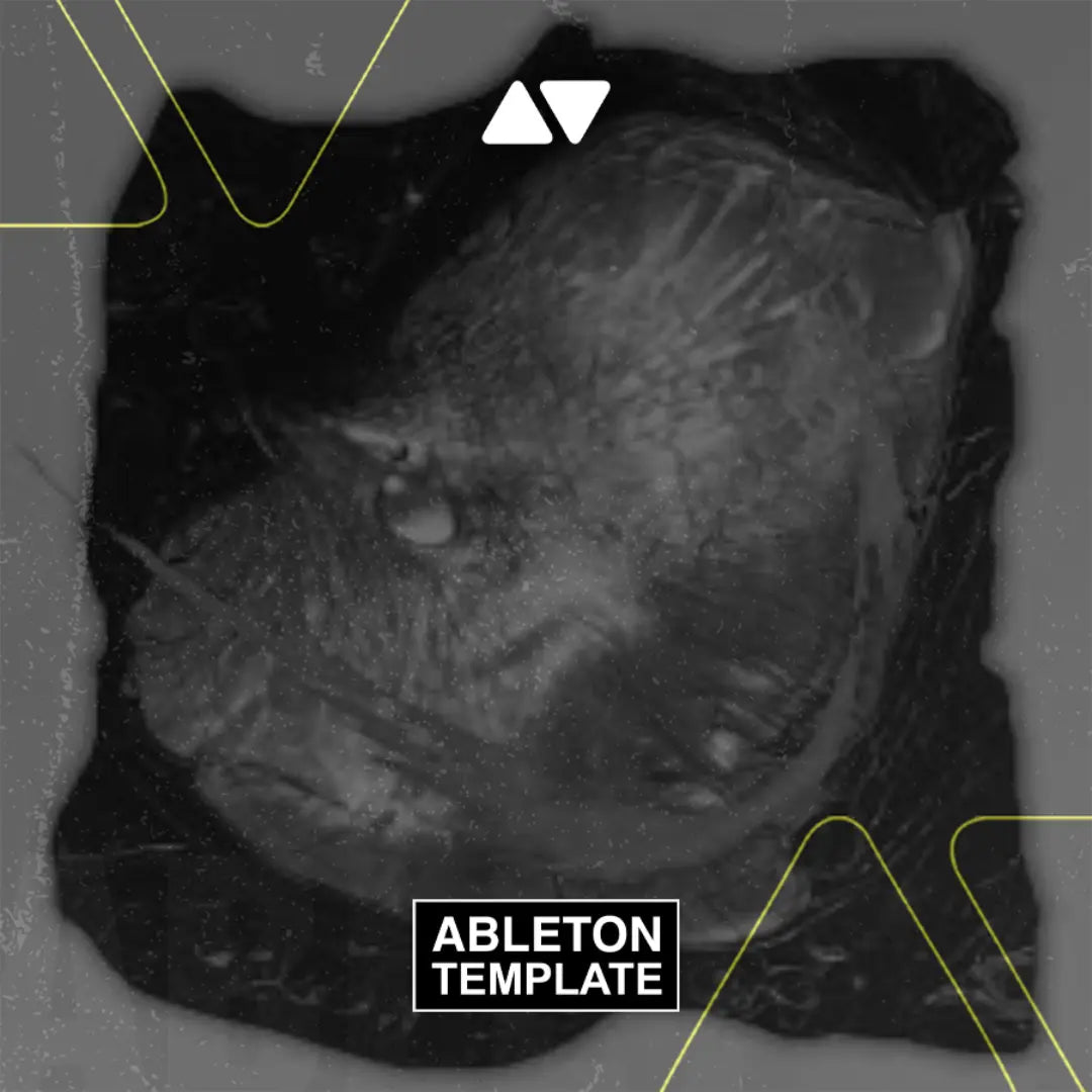 Skrillex, Hamdi, TAICHU & OFFAIAH - Push Ableton Template (Dubstep) Ableton Template