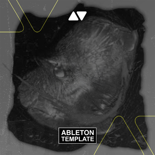 Skrillex, Hamdi, TAICHU & OFFAIAH - Push Ableton Template (Dubstep)