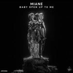 Miane - Who Are You (Chris Lake Remix) Ableton Template (Tech House)