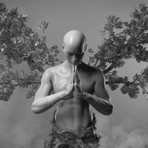 Anyma & Chris Avantgarde - Consciousness (Eric Prydz Remix) Ableton Template  (Melodic Techno)