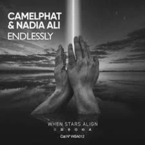 CAMELPHAT & Nadia Ali - Endlessly (Yotto Remix) Ableton Template (Melodic House)