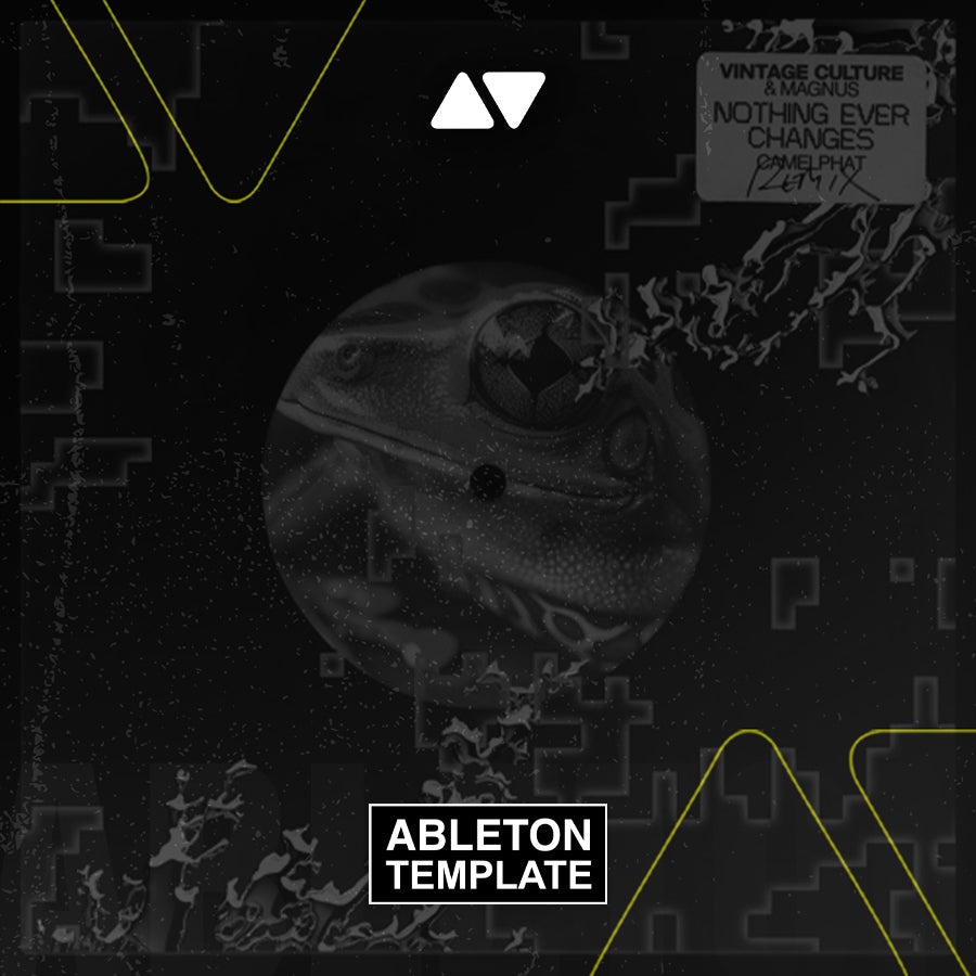 Vintage Culture, MAGNUS - Nothing Ever Changes (Camelphat Remix) Ableton Template (Melodic House)