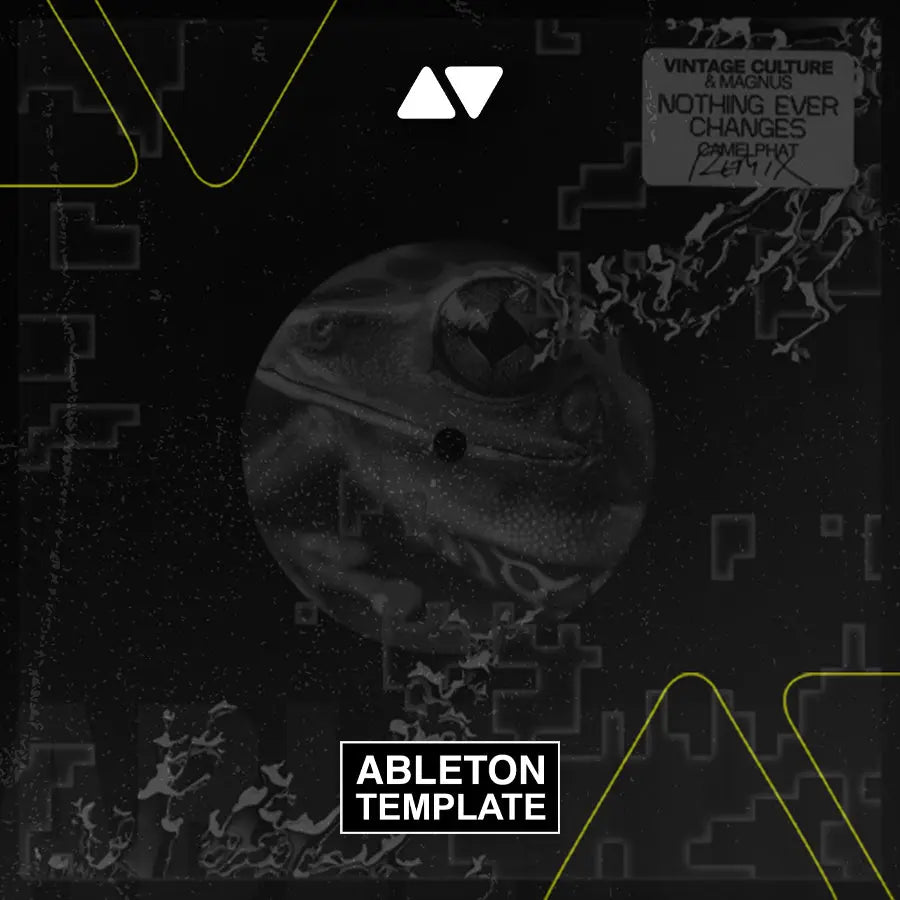 Vintage Culture, MAGNUS - Nothing Ever Changes (Camelphat Remix) Ableton Template (Melodic House) Ableton Template