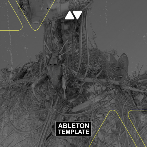 Anyma & Marigoldff - Claire Ableton Template (Melodic Techno).